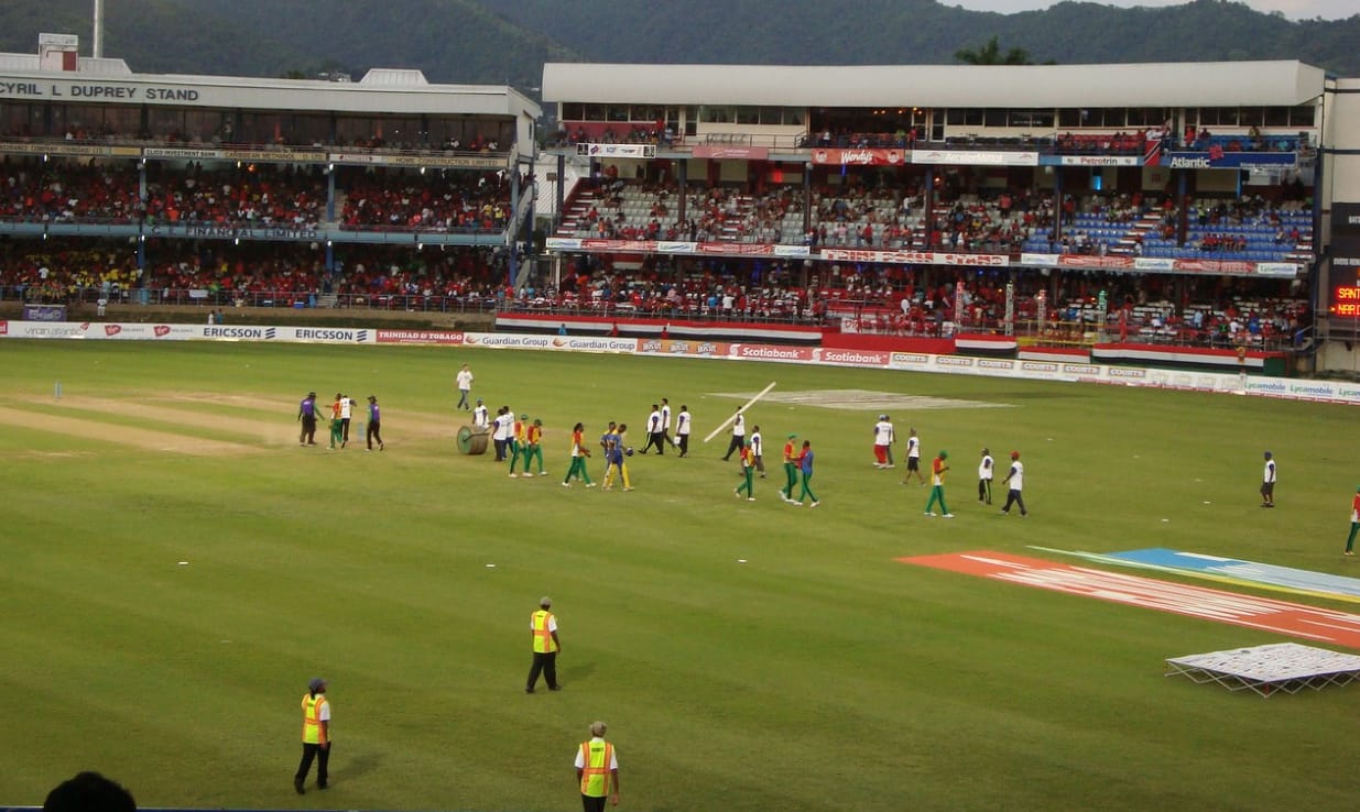 cricket pitch